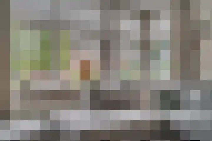 Weegbree 12 Venlo thumbnail 6
