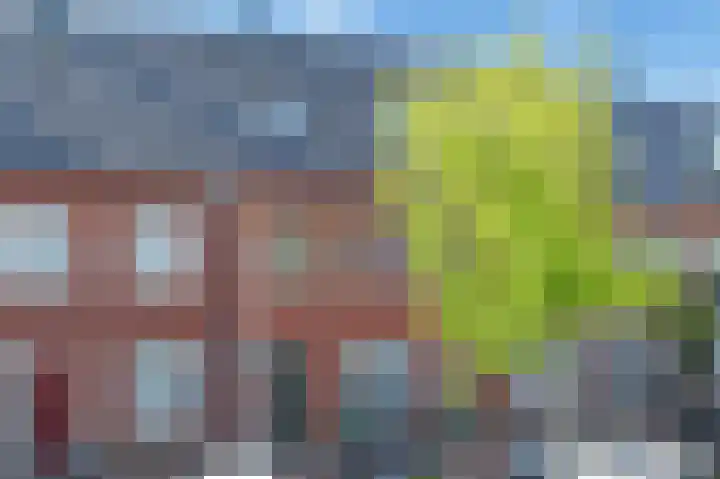 Weegbree 123 Pijnacker