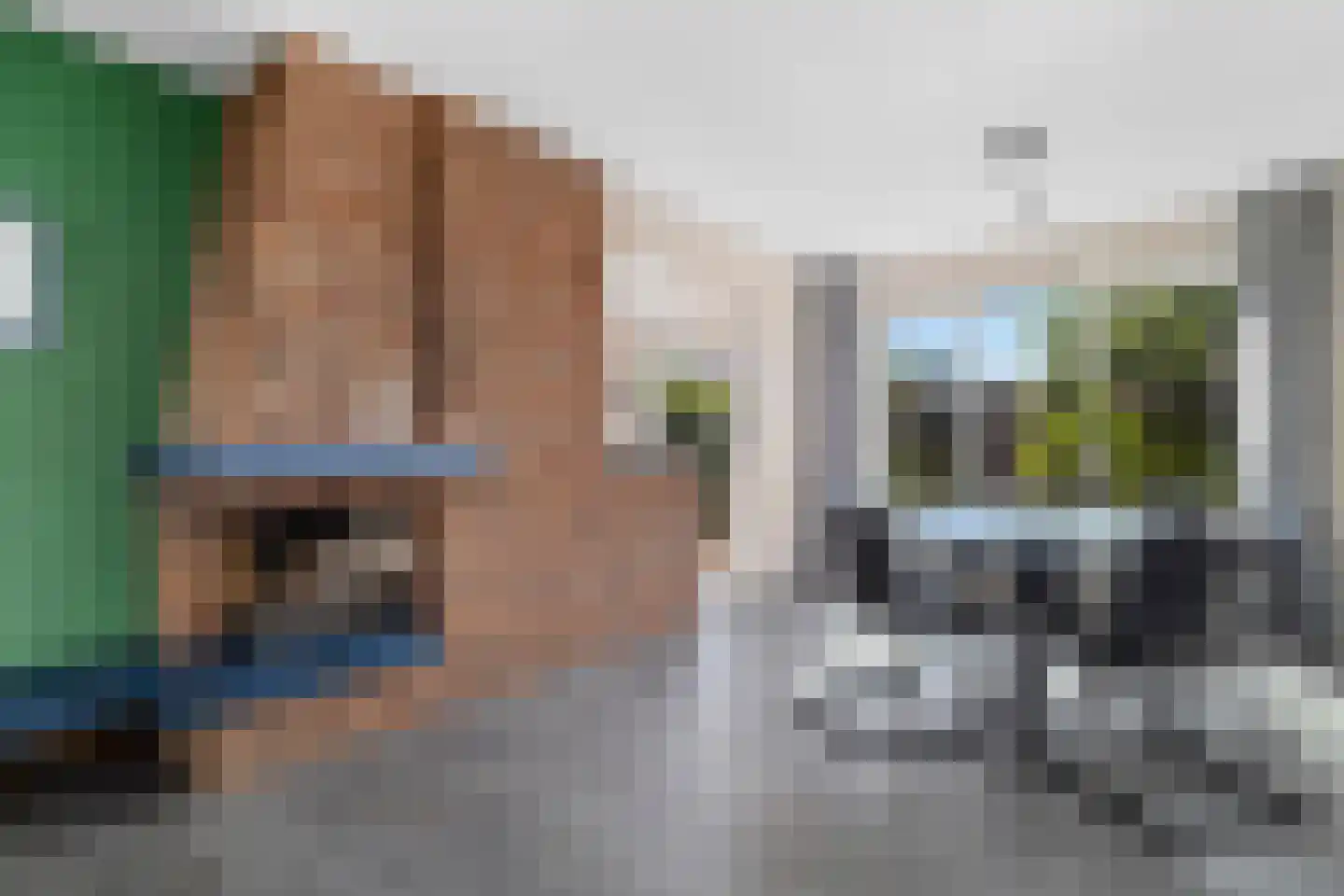 Weegbree 13 Castricum thumbnail 10