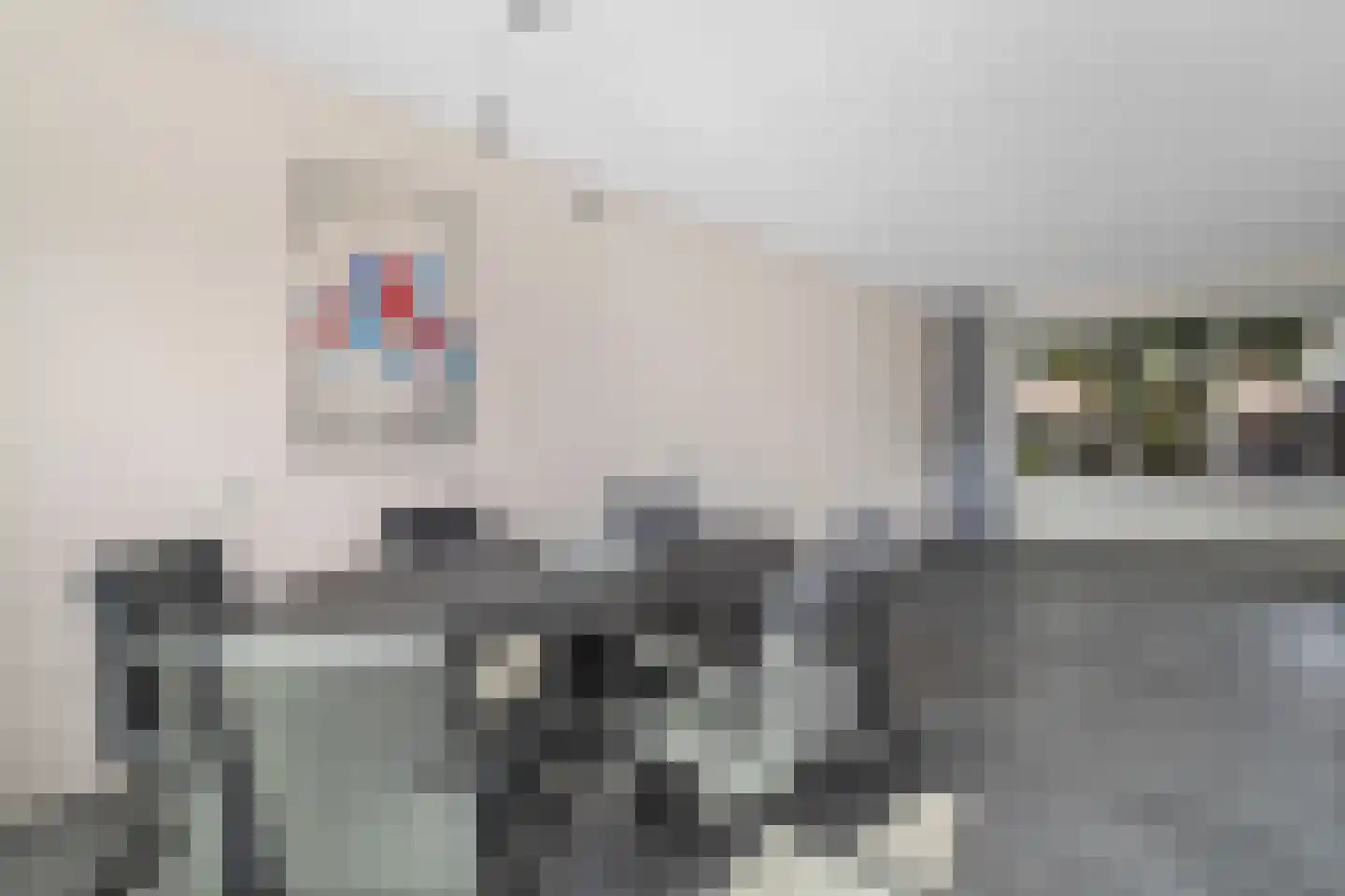 Weegbree 13 Castricum thumbnail 11