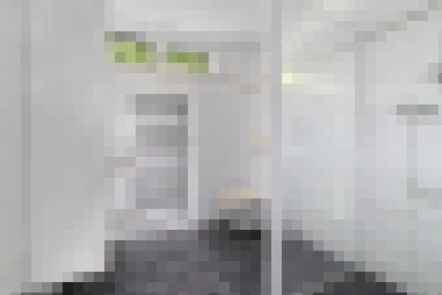 Weegbree 13 Castricum thumbnail 22
