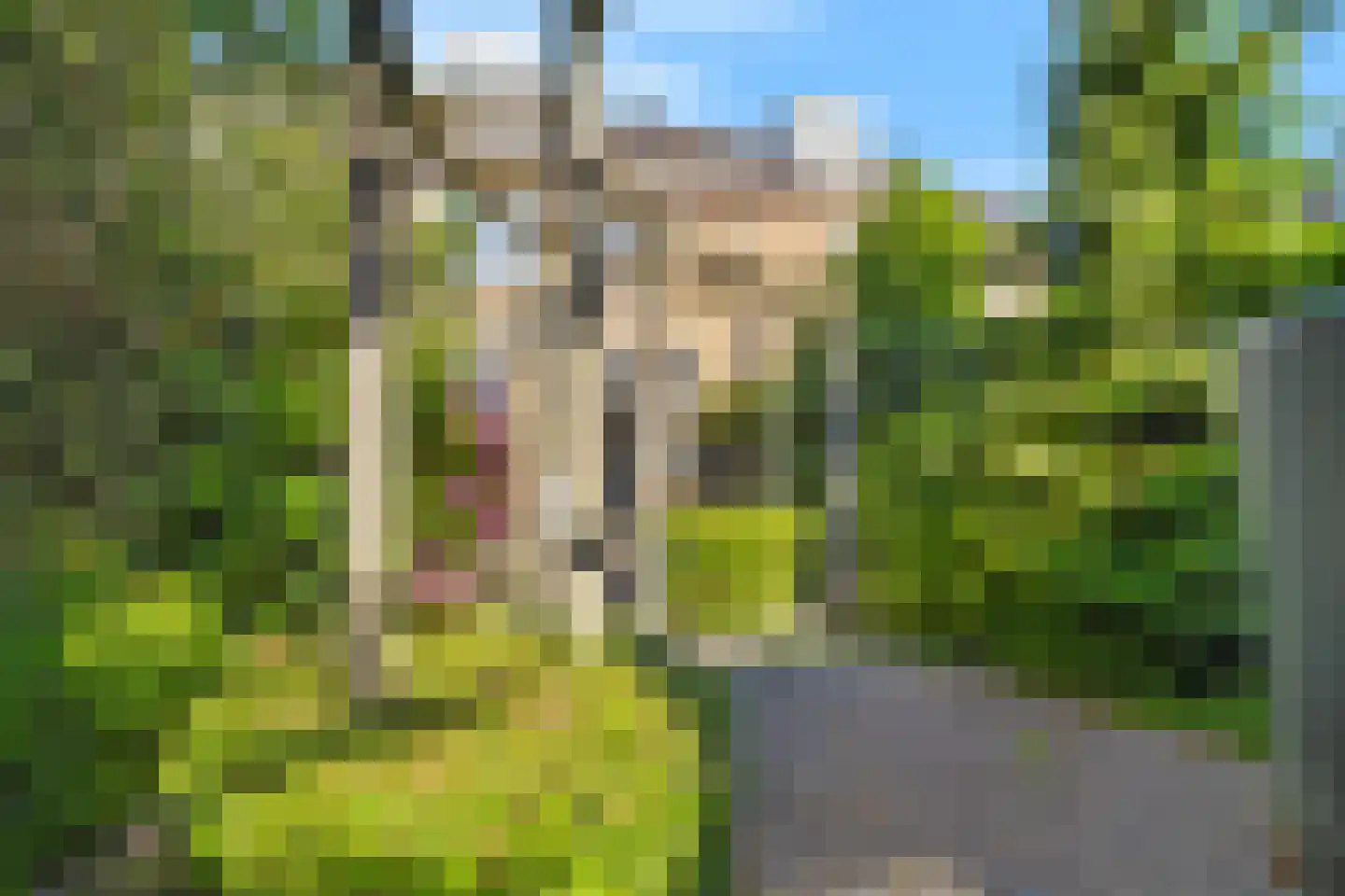 Weegbree 13 Castricum thumbnail 30