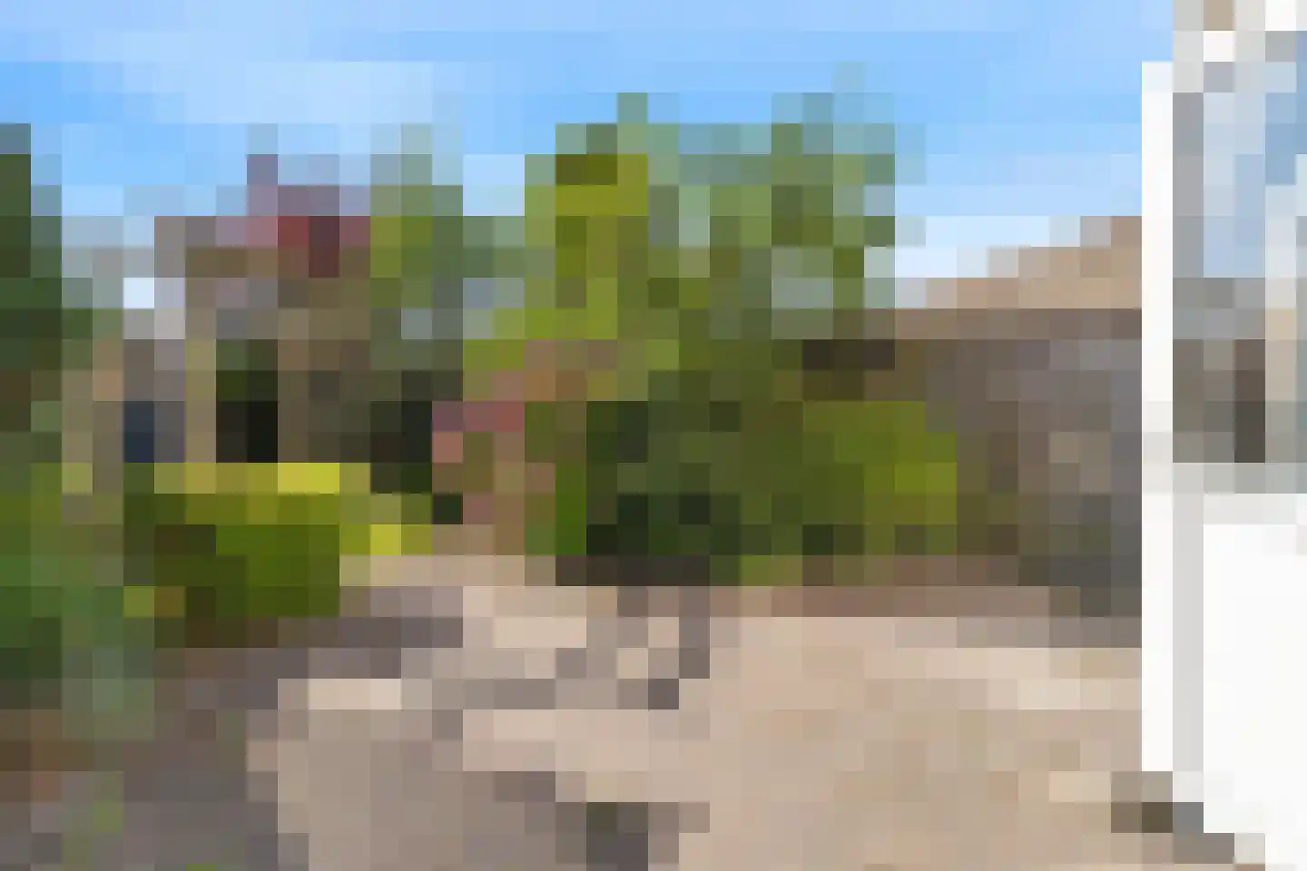 Weegbree 13 Castricum thumbnail 32