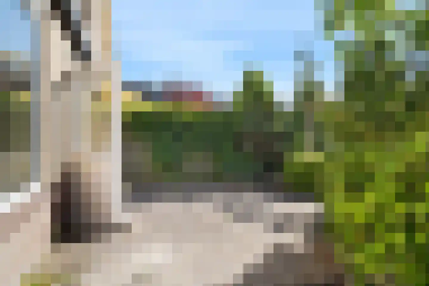 Weegbree 13 Castricum thumbnail 33