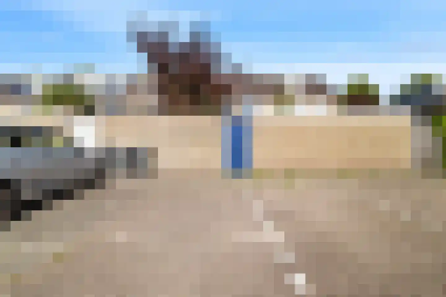 Weegbree 13 Castricum thumbnail 37