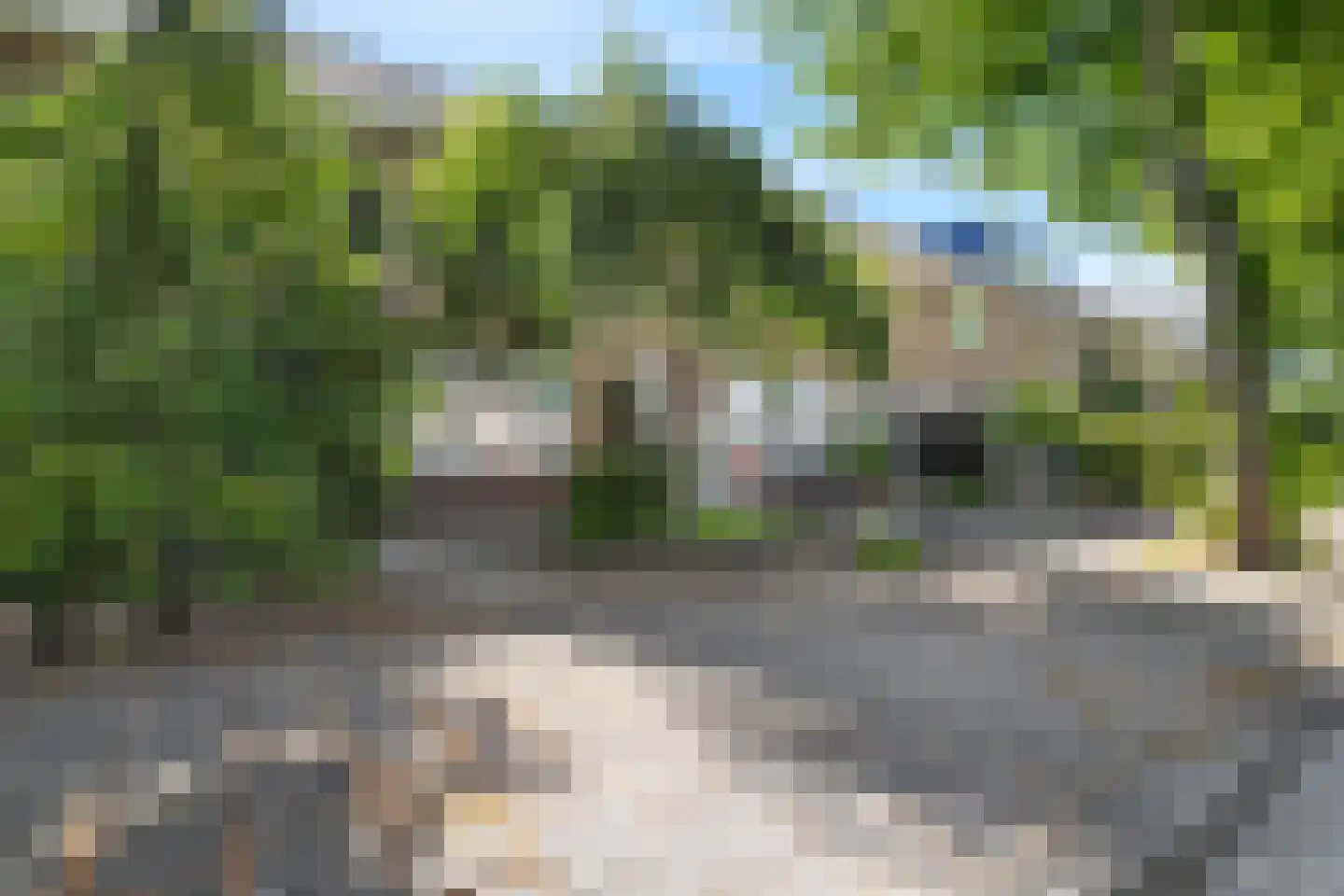 Weegbree 13 Castricum thumbnail 39