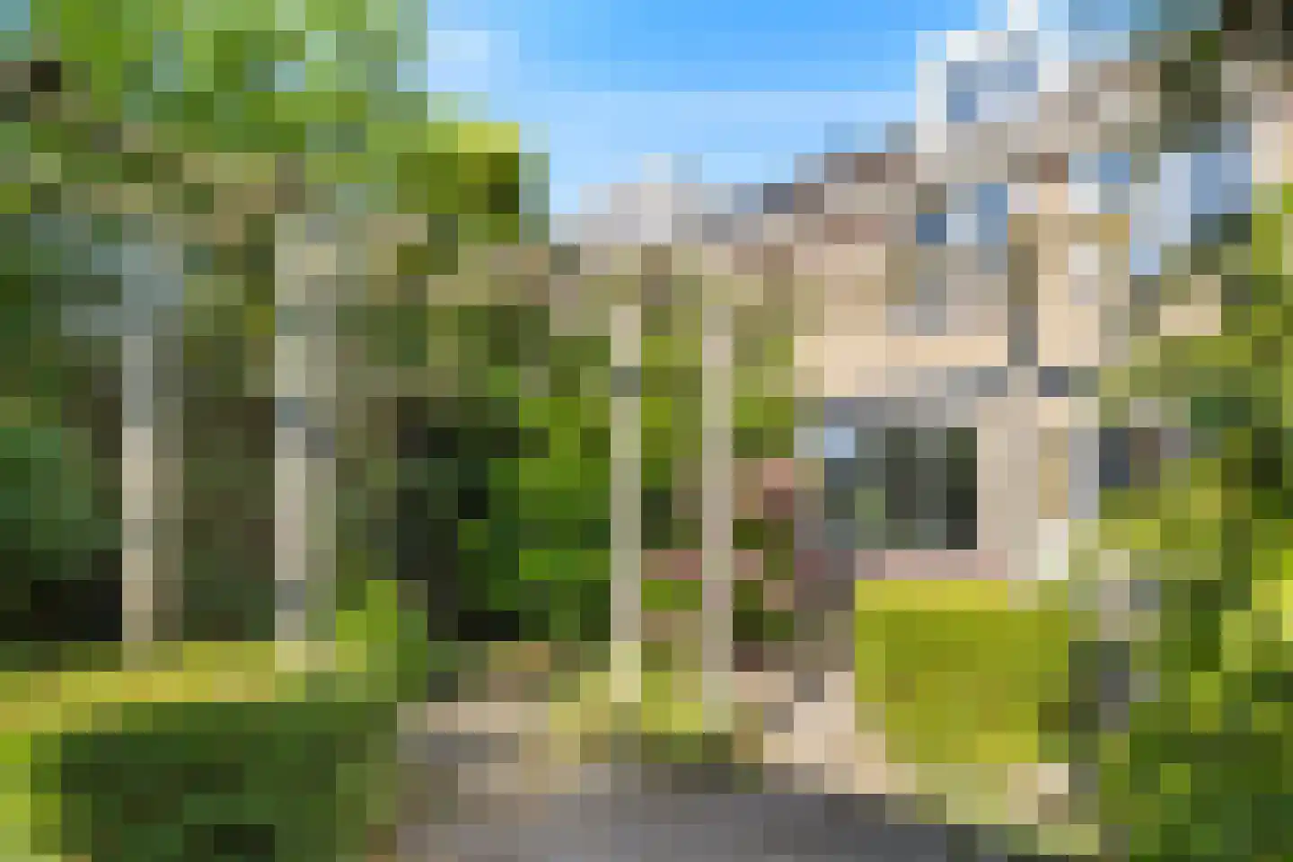 Weegbree 13 Castricum thumbnail 4