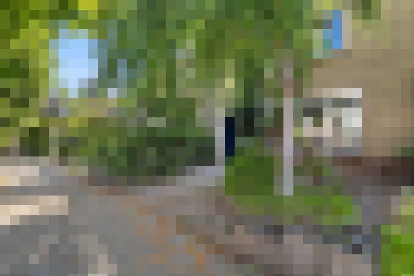 Weegbree 13 Castricum thumbnail 40