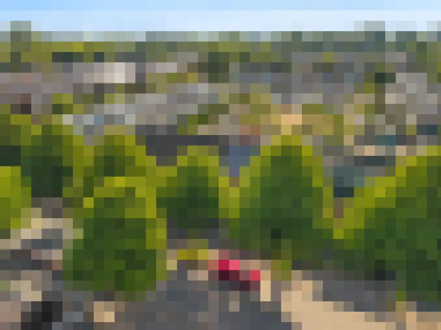 Weegbree 13 Castricum thumbnail 41