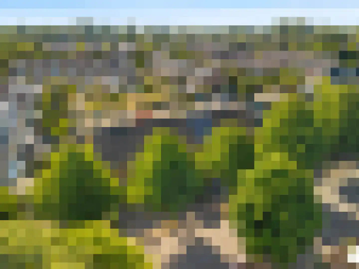Weegbree 13 Castricum thumbnail 42