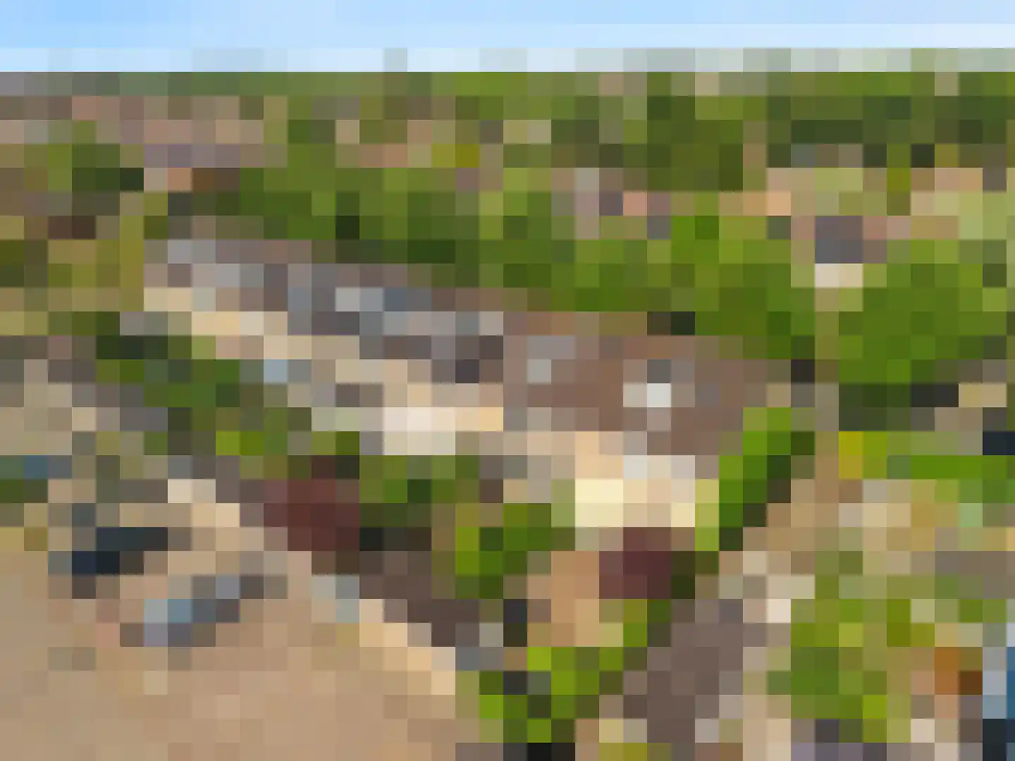 Weegbree 13 Castricum thumbnail 44