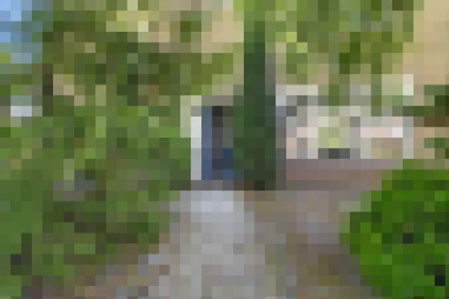 Weegbree 13 Castricum thumbnail 5