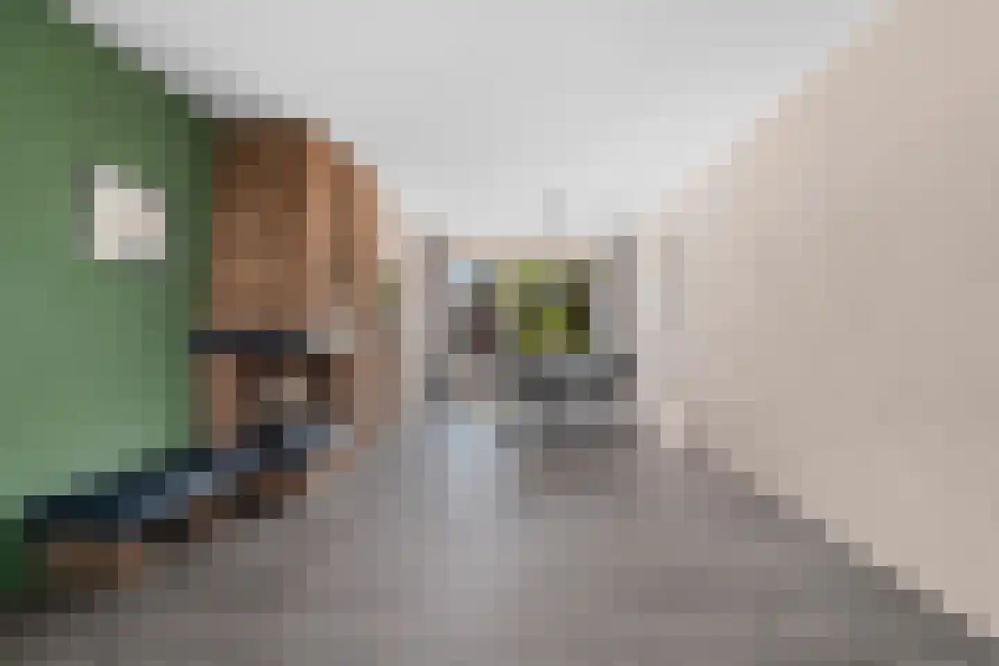 Weegbree 13 Castricum thumbnail 9