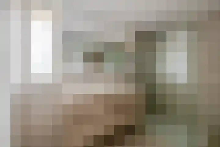 Weegbree 13 Venlo thumbnail 17