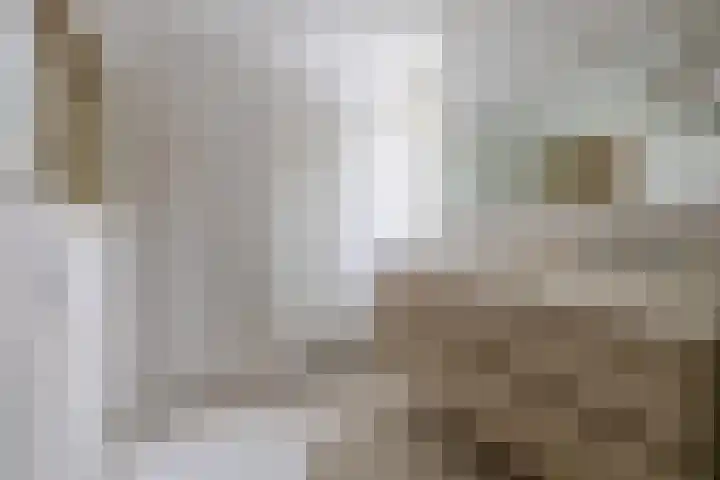 Weegbree 13 Venlo thumbnail 18