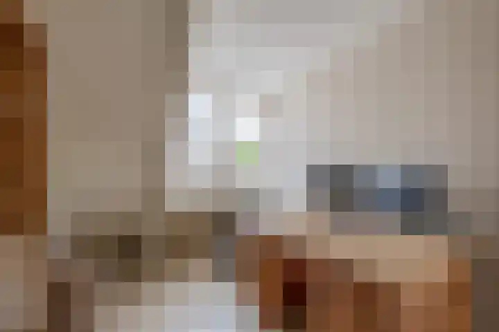 Weegbree 13 Venlo thumbnail 24