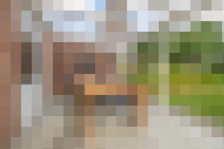 Weegbree 13 Venlo thumbnail 26