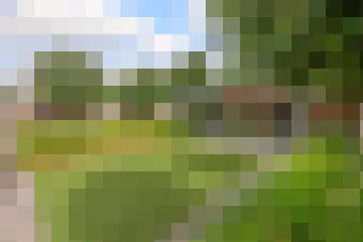 Weegbree 13 Venlo thumbnail 27
