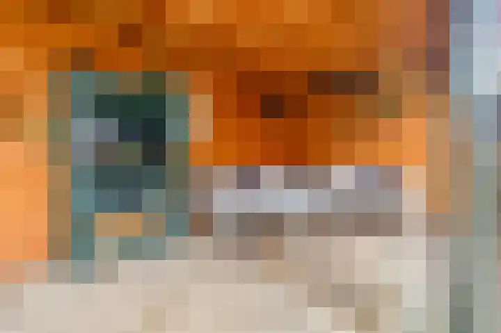 Weegbree 13 Venlo thumbnail 28
