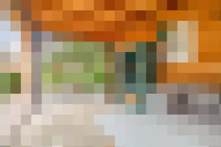 Weegbree 13 Venlo thumbnail 29