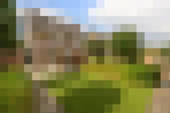 Weegbree 13 Venlo thumbnail 30