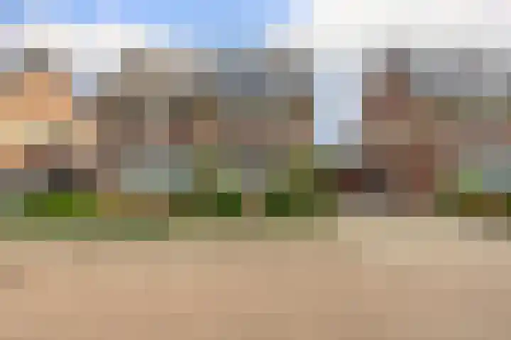 Weegbree 13 Venlo thumbnail 31