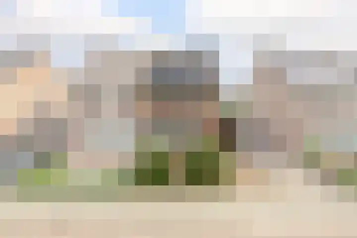 Weegbree 13 Venlo thumbnail 32