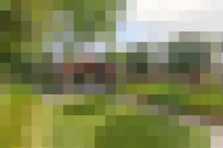 Weegbree 13 Venlo thumbnail 4