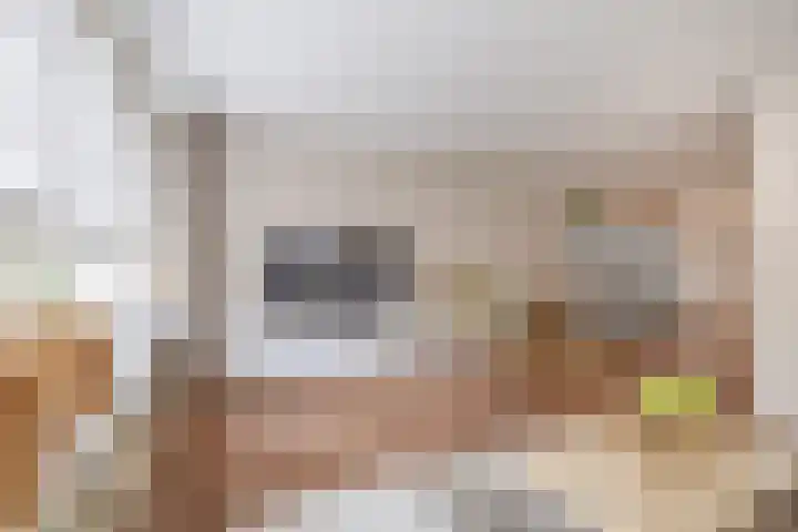 Weegbree 13 Venlo thumbnail 7