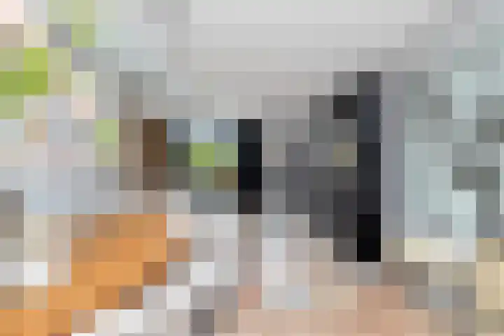Weegbree 130 Zwaag thumbnail 12