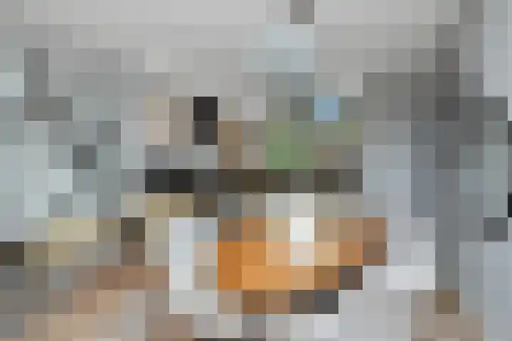 Weegbree 130 Zwaag thumbnail 14