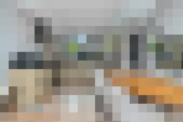Weegbree 130 Zwaag thumbnail 15