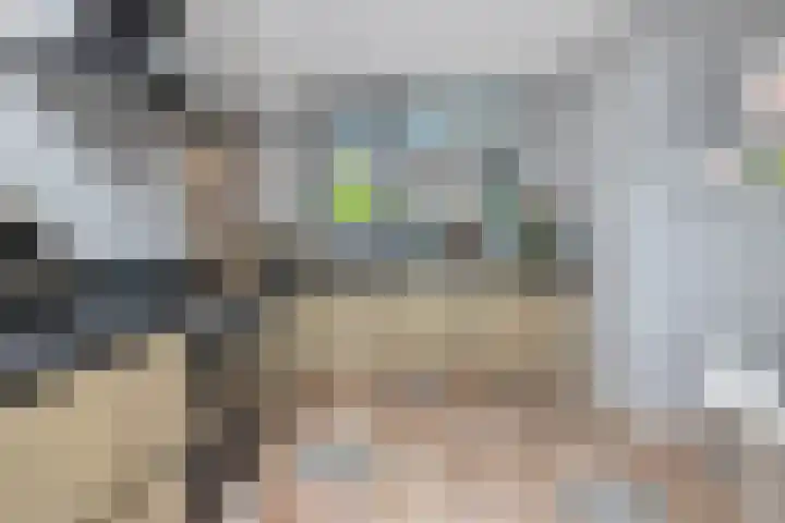 Weegbree 130 Zwaag thumbnail 17