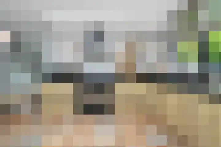 Weegbree 130 Zwaag thumbnail 18