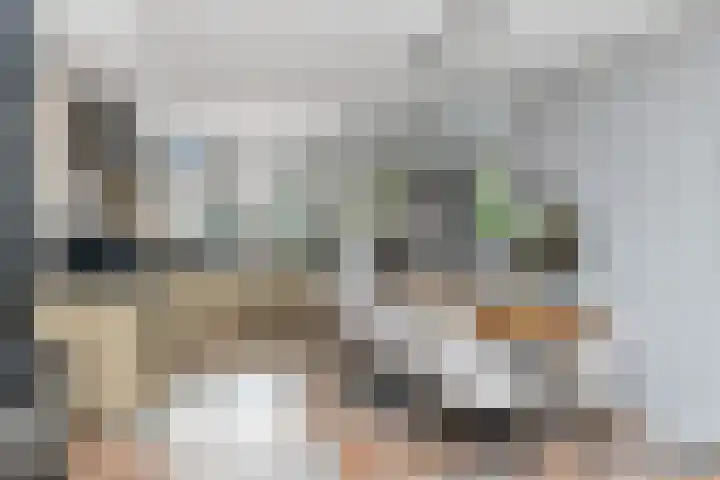 Weegbree 130 Zwaag thumbnail 20