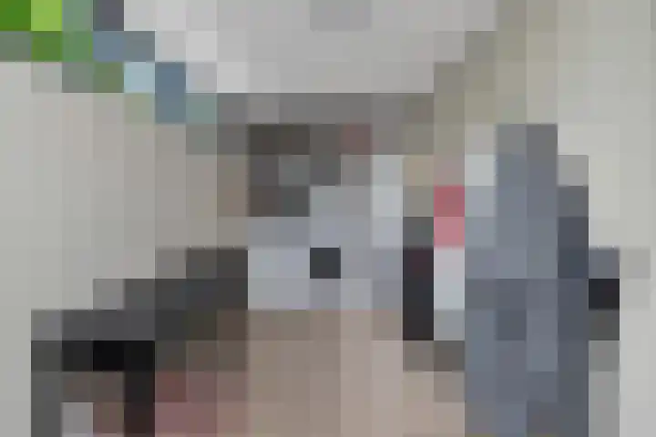 Weegbree 130 Zwaag thumbnail 22