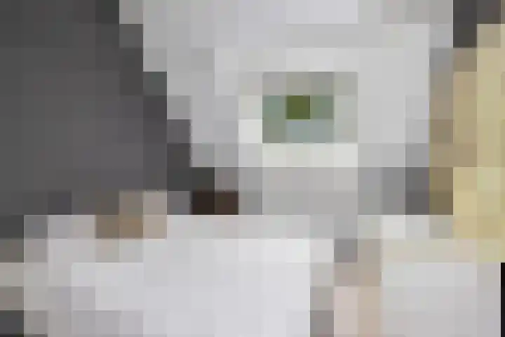 Weegbree 130 Zwaag thumbnail 34