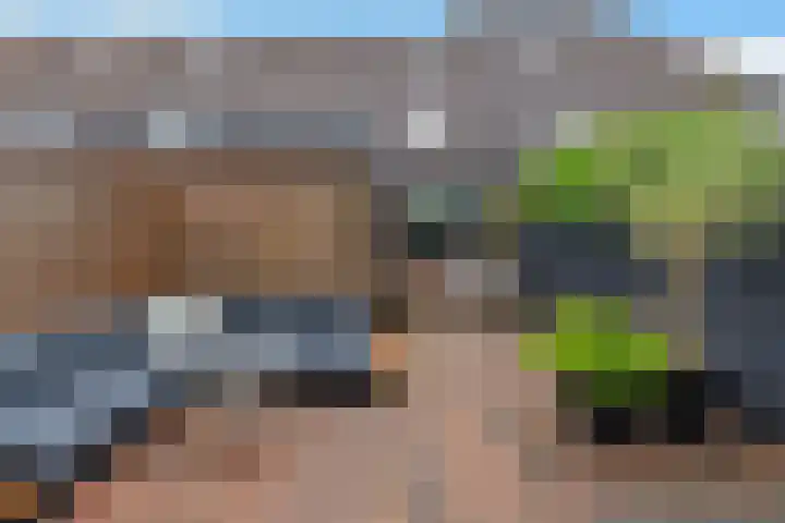 Weegbree 130 Zwaag thumbnail 39