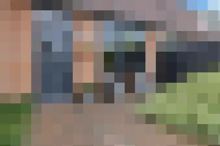 Weegbree 130 Zwaag thumbnail 4