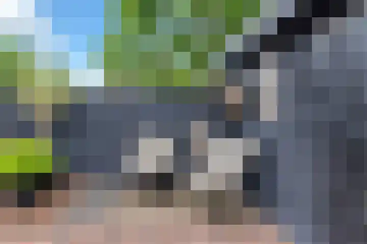 Weegbree 130 Zwaag thumbnail 40