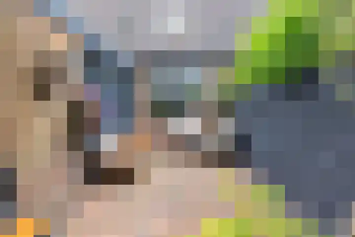 Weegbree 130 Zwaag thumbnail 41
