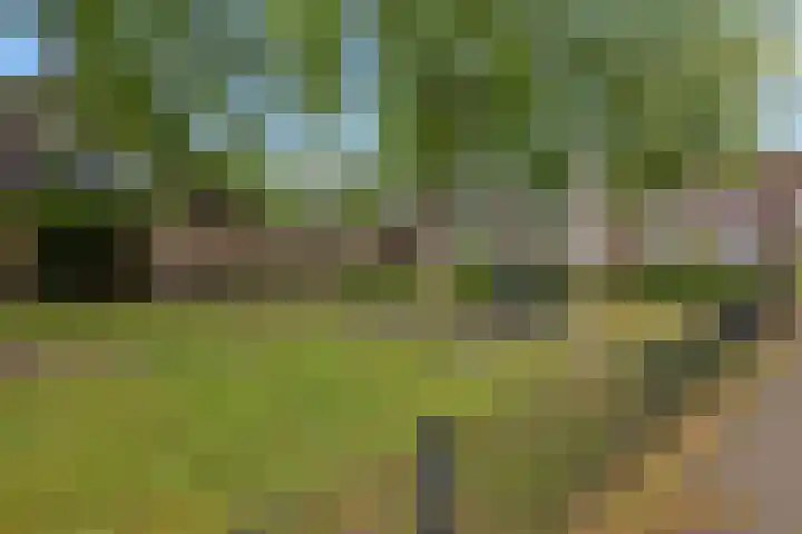 Weegbree 130 Zwaag thumbnail 42