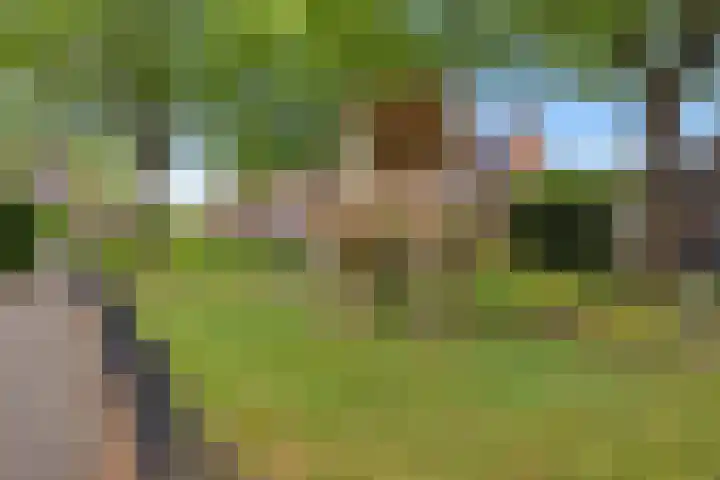 Weegbree 130 Zwaag thumbnail 43