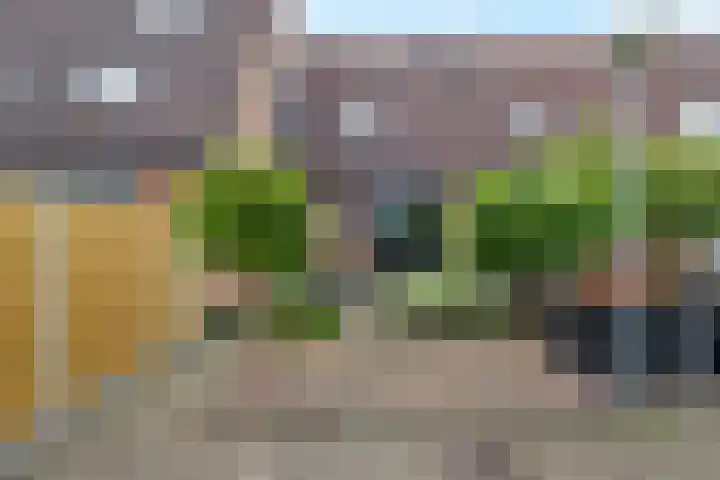 Weegbree 130 Zwaag thumbnail 52