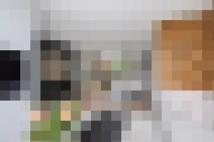 Weegbree 130 Zwaag thumbnail 9