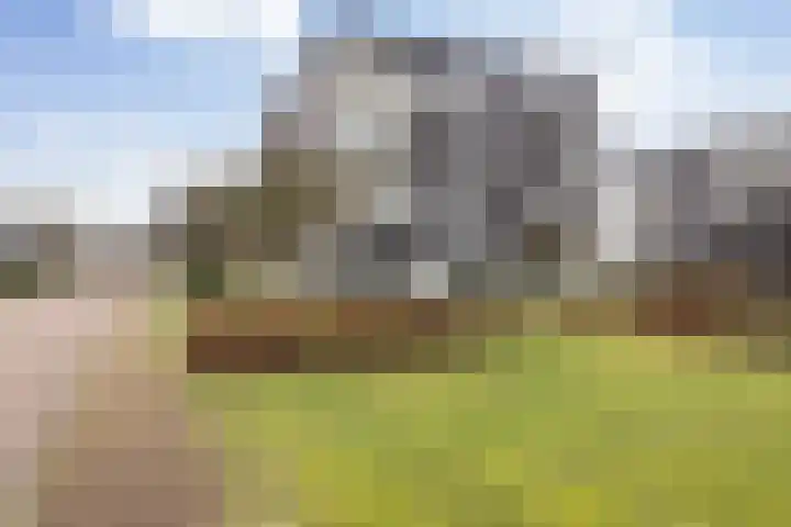 Weegbree 14 in Havelte