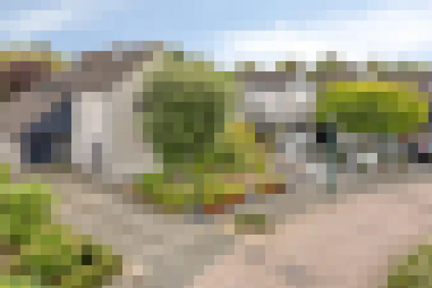 Weegbree 14 Cuijk thumbnail 14