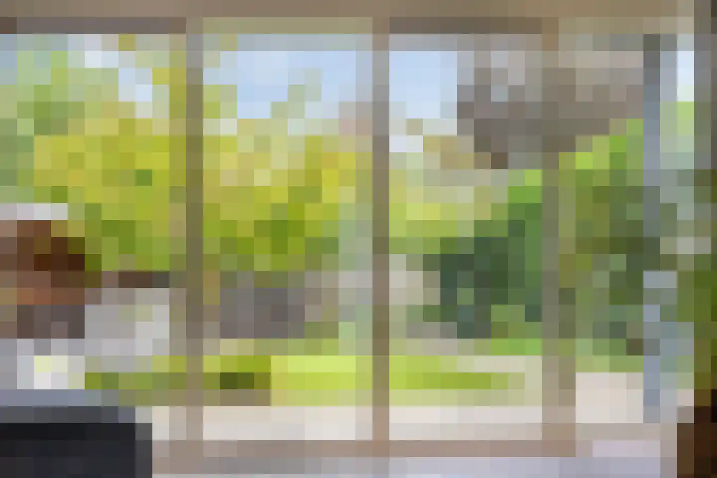 Weegbree 14 Cuijk thumbnail 30