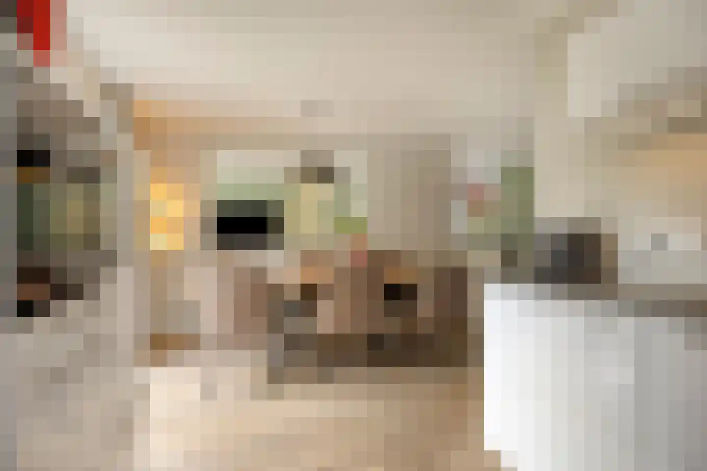 Weegbree 14 Cuijk thumbnail 39