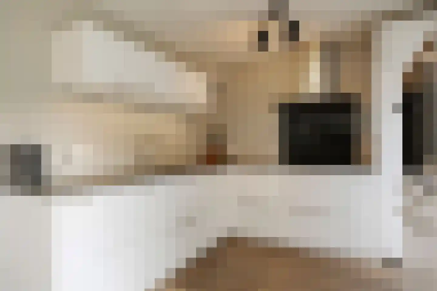 Weegbree 14 Cuijk thumbnail 4